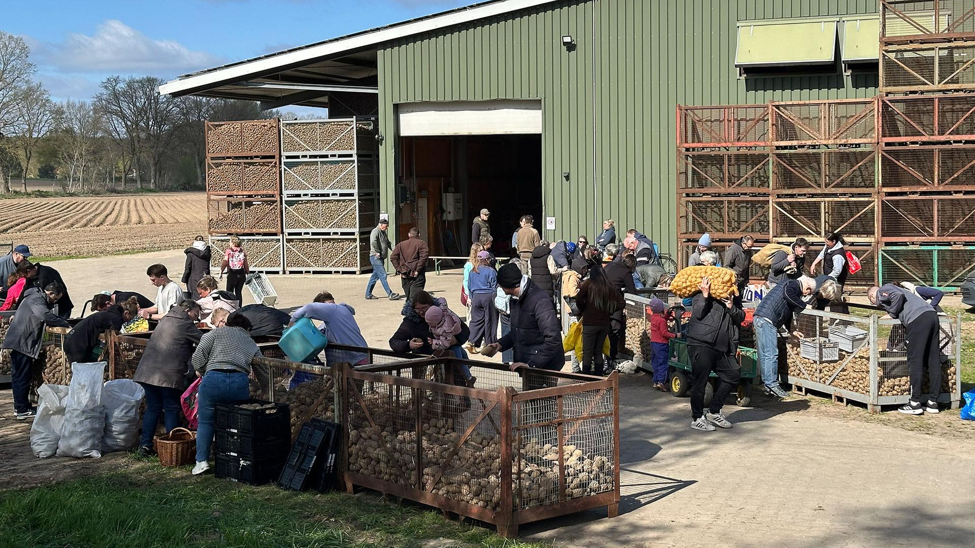 Menschen holen sich Kartoffeln aus Transportboxen. | NDR, Alicia Sprey