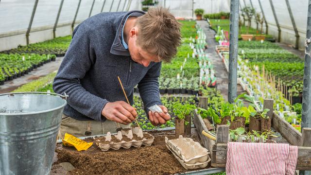 kalk als dünger für welche pflanzen Rasen- & Gartenkalk