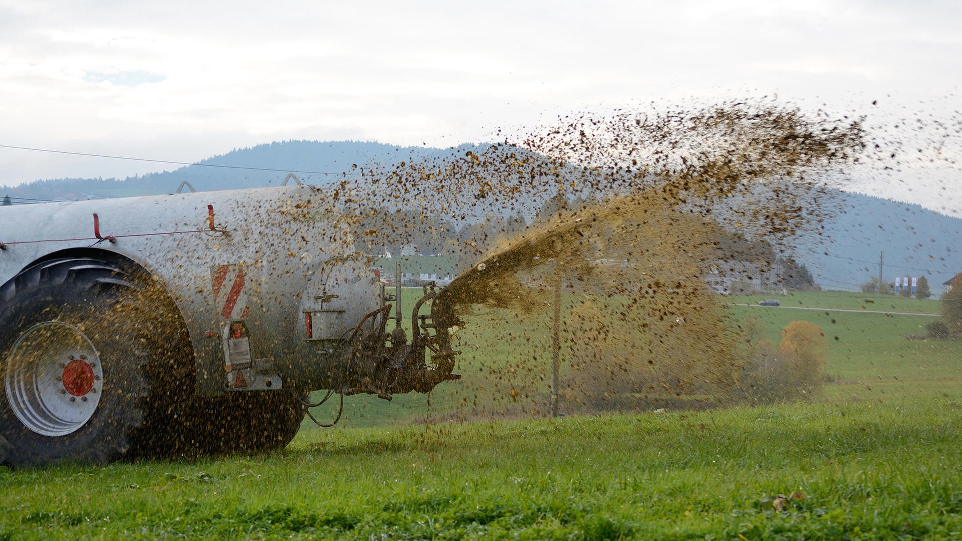 Ein Traktor düngt ein Feld mit Gülle | colourbox, Alfred Hofer