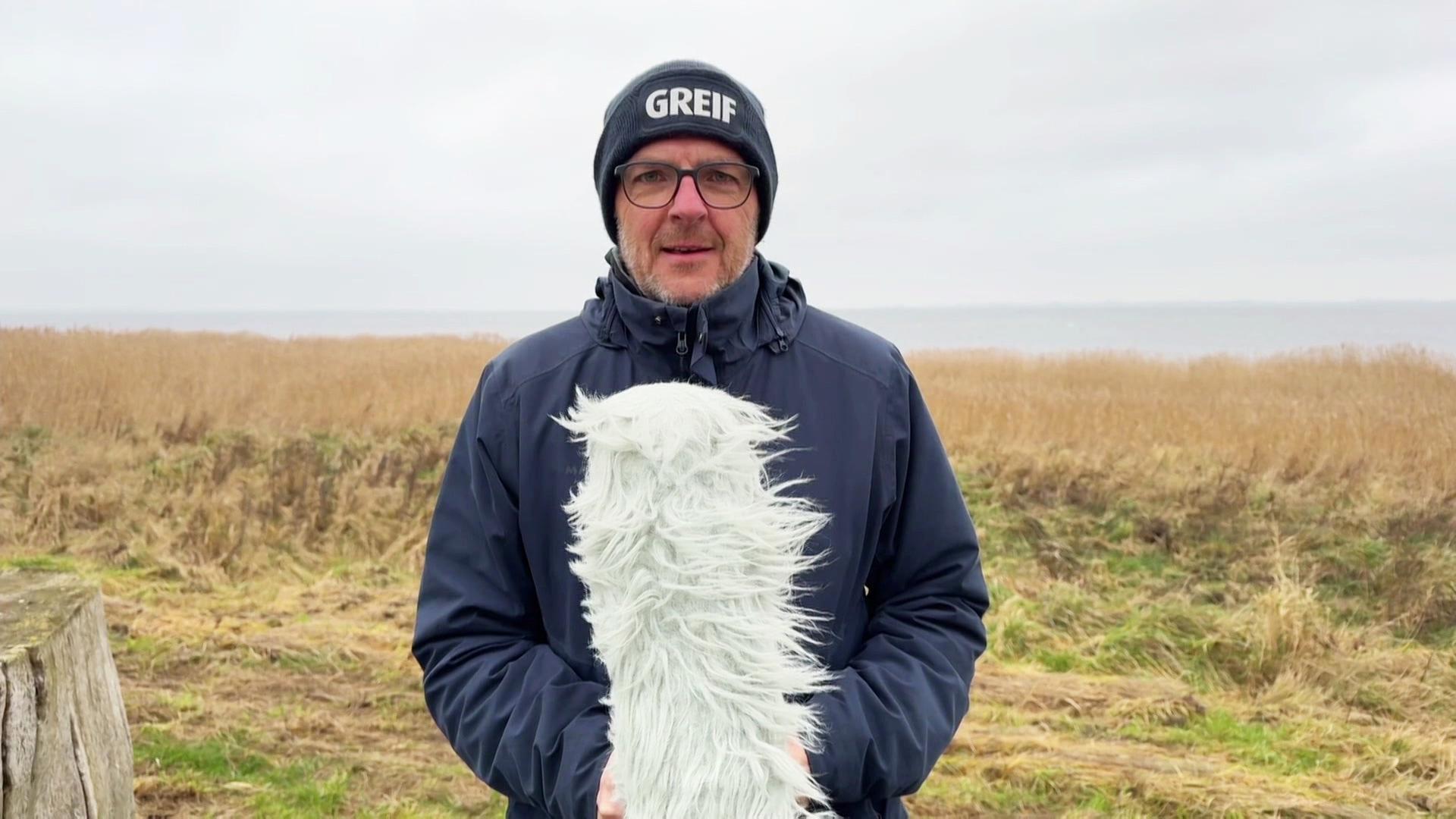 So wird das Wetter in Mecklenburg-Vorpommern am Sonntag