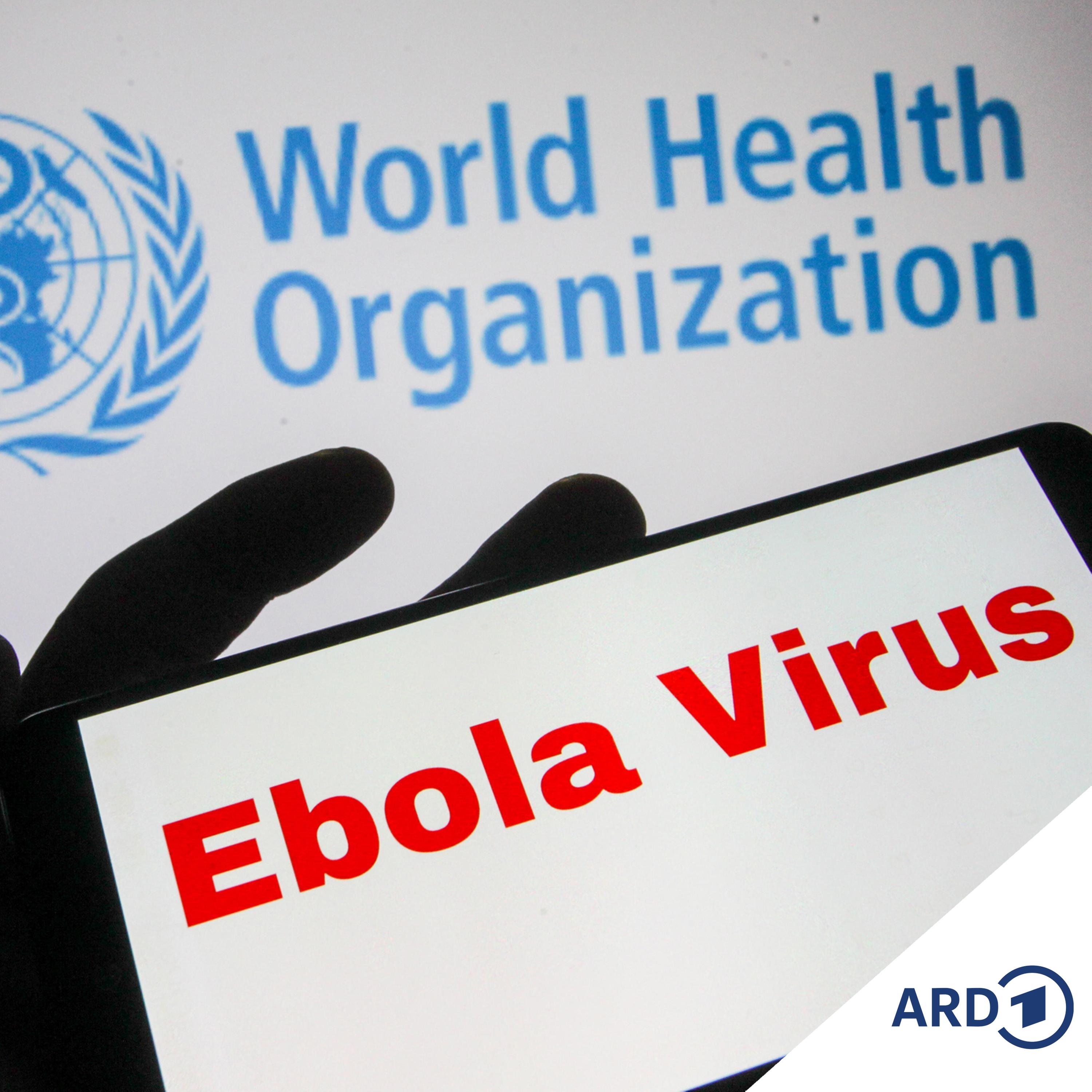 Ebola-Ausbruch in Zentralafrika