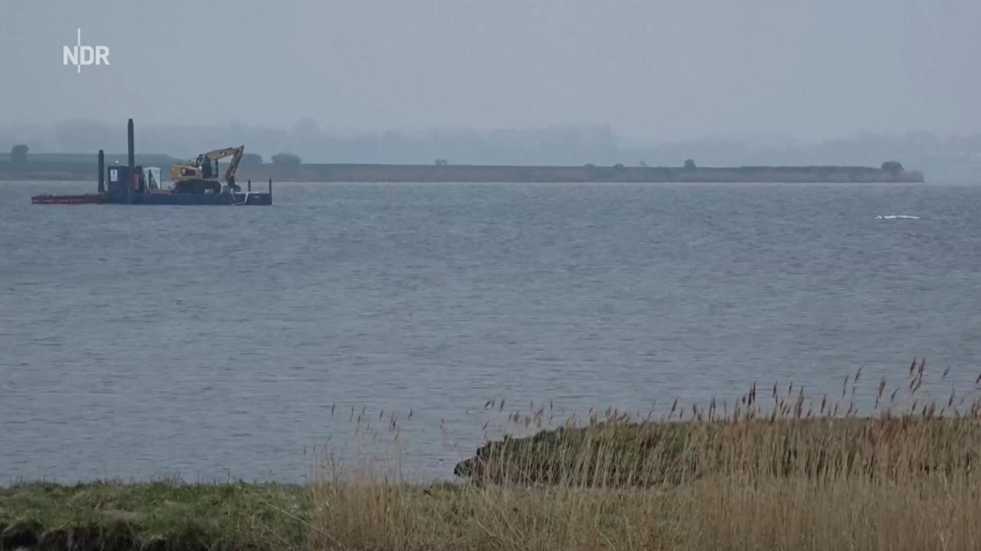 Der Buckelwal vor der Insel Poel.  | Philip Dulian/dpa +++ dpa-Bildfunk +++