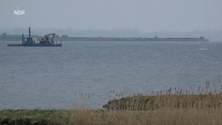 Liveticker zur Rettungsaktion: Geht es heute für den Wal aus der Ostsee raus?