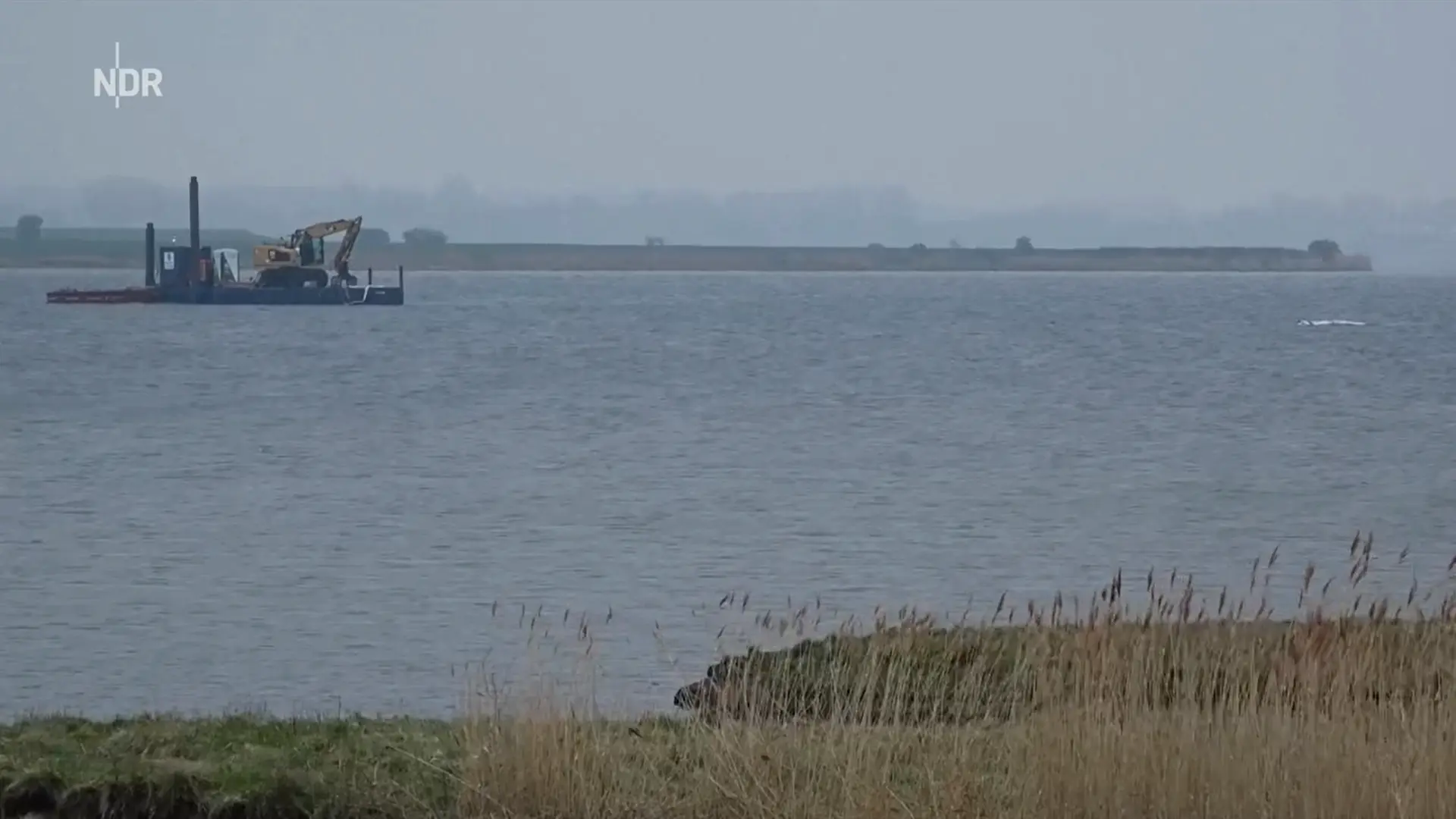 Liveticker zur Rettungsaktion: Geht es heute für den Wal aus der Ostsee raus?