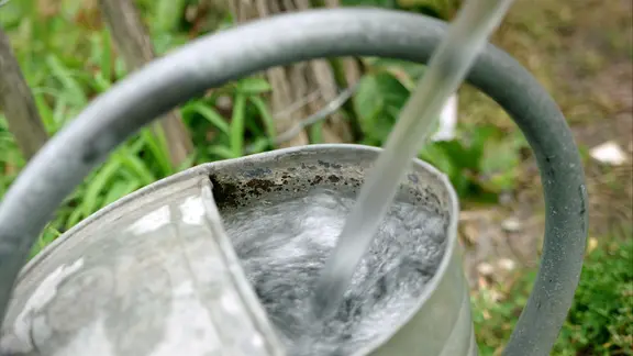 Eine Gießkanne wird mit Wasser gefüllt.