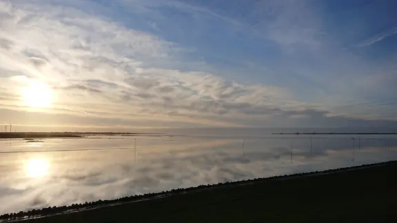 Petra aus Husum fängt bei einem Spaziergang entlang der Nordee die Spiegelung einer strahlenden Sonne und eines klaren Himmels auf dem Meerwasser ein. | Petra-Blume, Petra-Blume Nordee zeigt die Spiegelung eines klaren Himmels