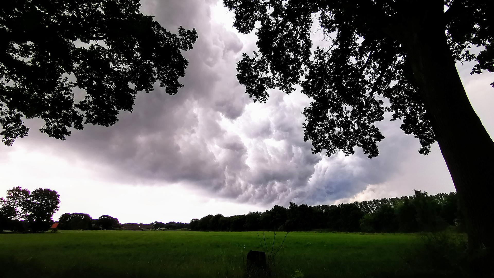 Ein Gewitter zieht über einer Wiese auf. | NDR, Petra Lange