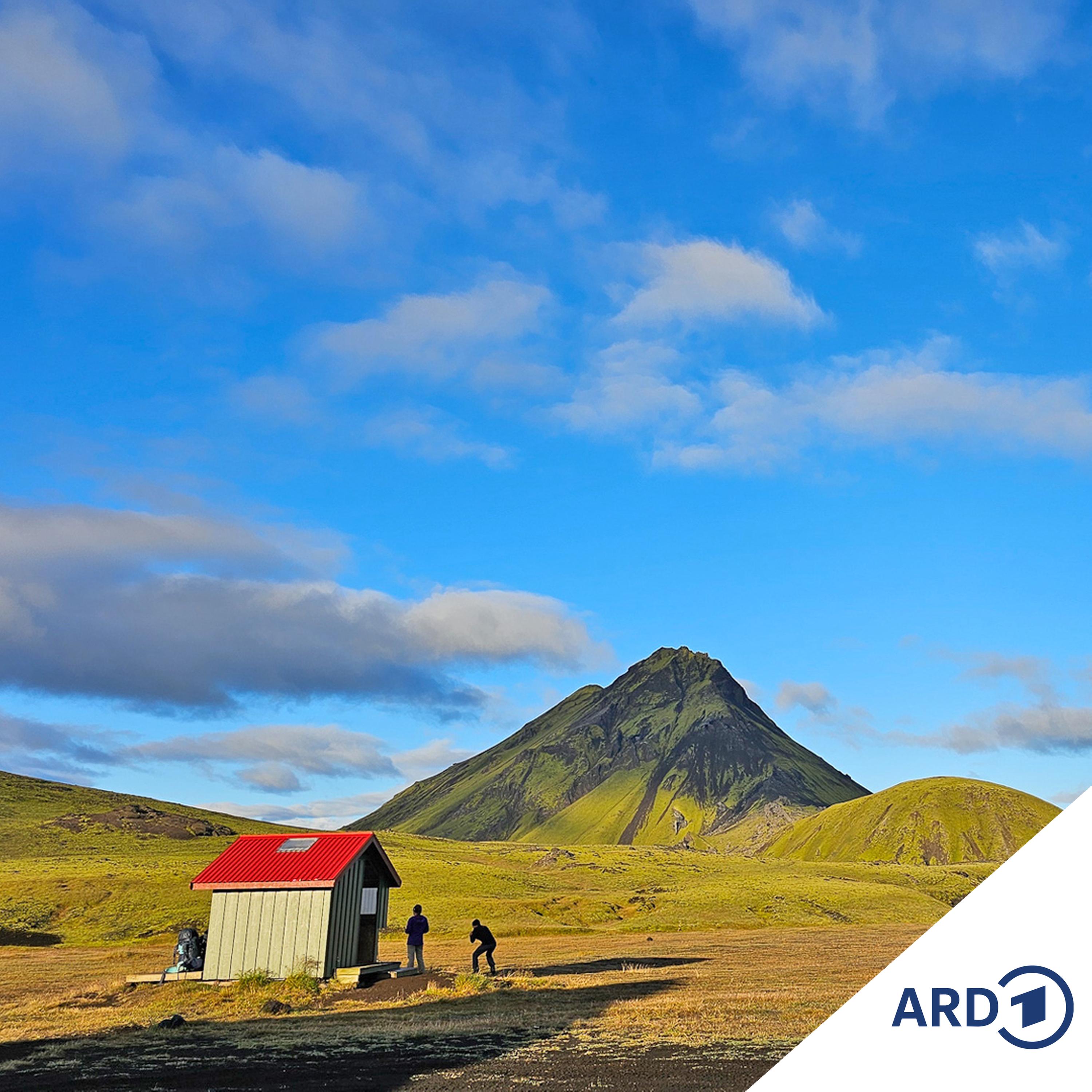 Zwischen Hamburg und Haiti