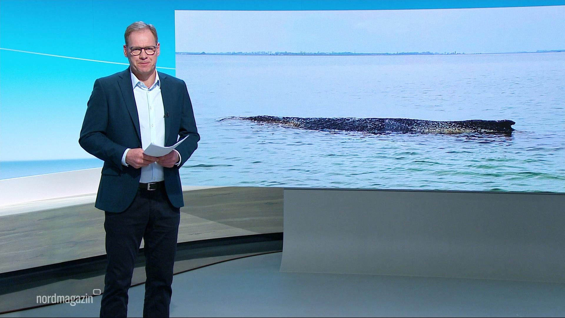 Nordmagazin | 28.03.2026