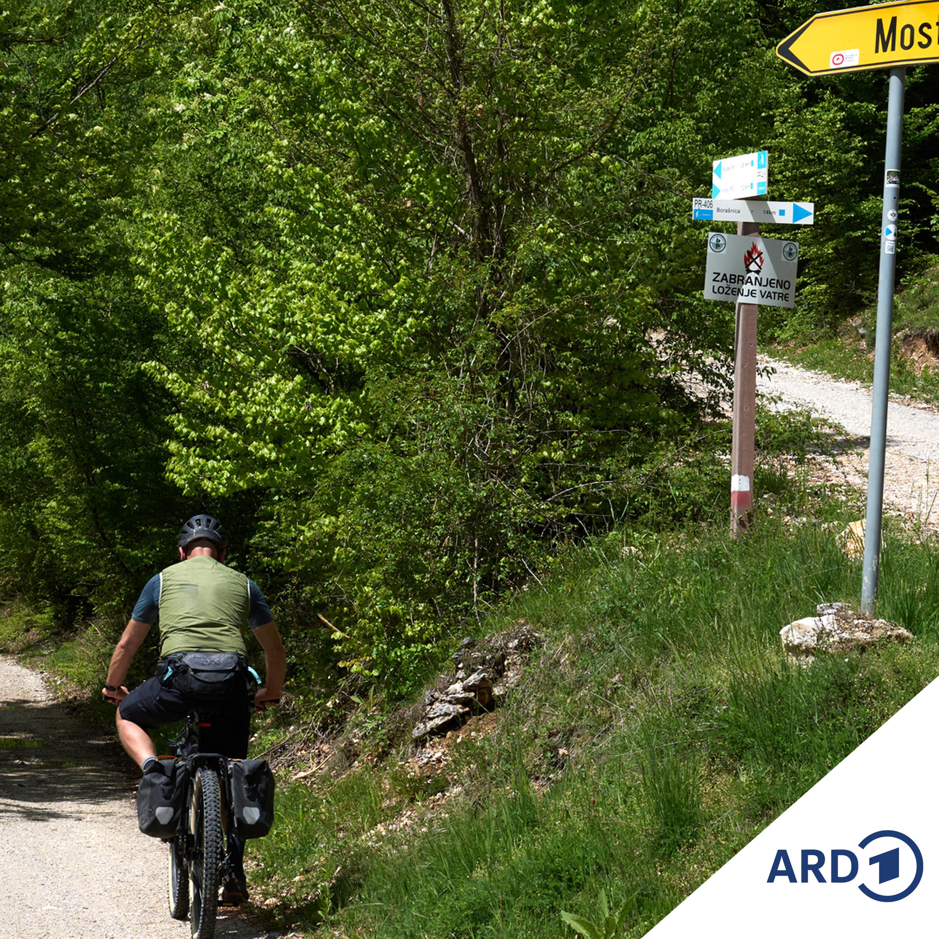 Zwischen Hamburg und Haiti