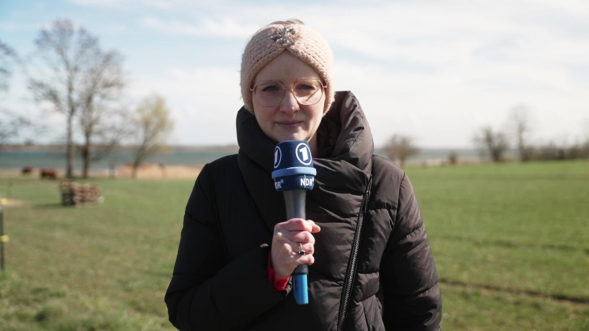Verirrter Buckelwal in der Ostsee: Die Ereignisse vom Ostersonntag