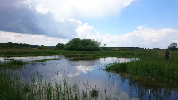 Die Wiedervernässung des Hangquellmoors Binsenberg bei Siedenbollentin (Mecklenburgische Seenplatte) ist abgeschlossen.