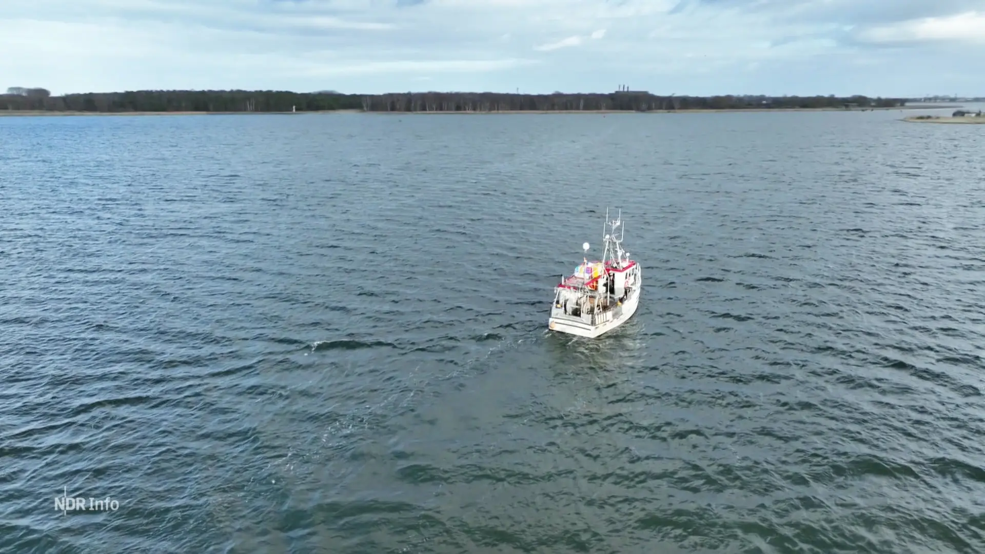 Immer weniger Hering in der Ostsee
