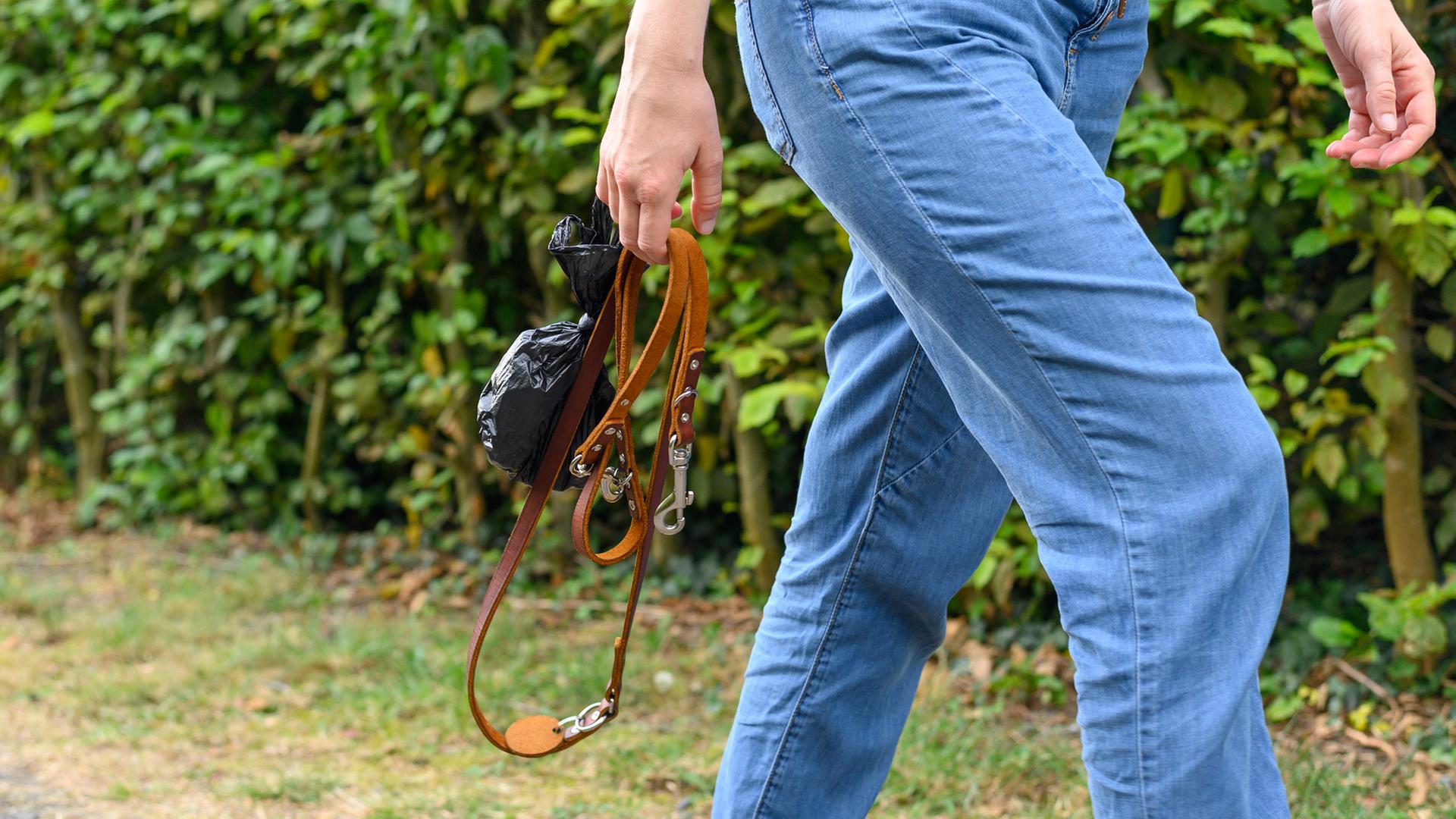 Polizei warnt: In Sülfeld könnten Giftköder für Hunde liegen