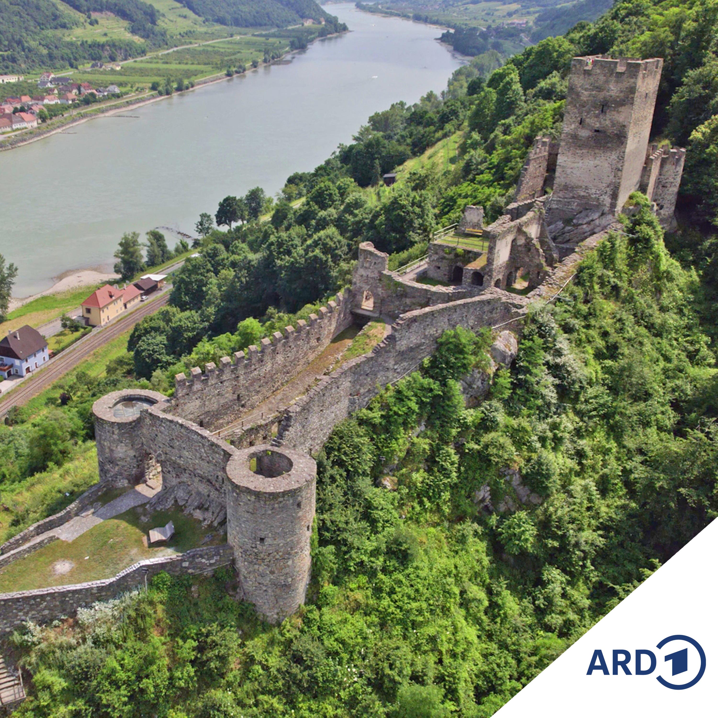 Zwischen Hamburg und Haiti