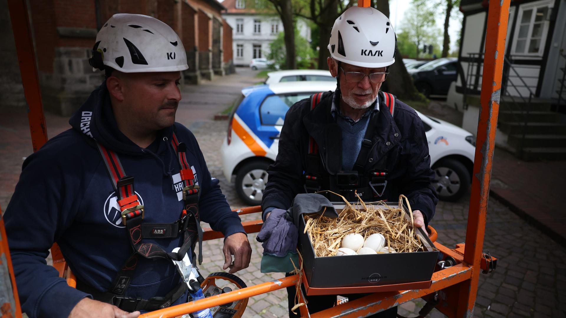 Die Storcheneier wurden aus dem Nest auf der Kirche in Neustadt gerettet. | HANEBUTT Marketing