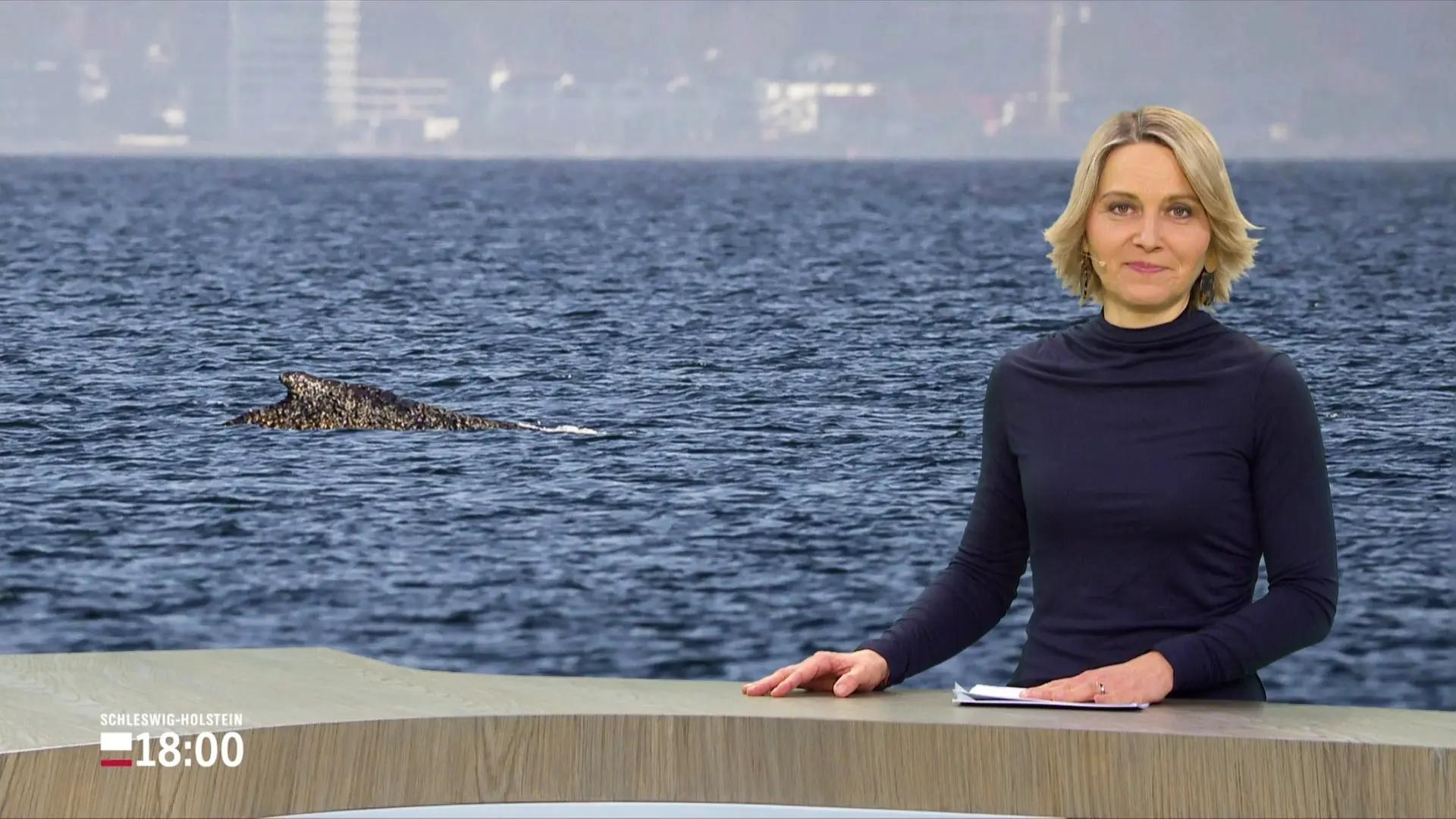 Schleswig-Holstein 18:00 | 27.03.2026