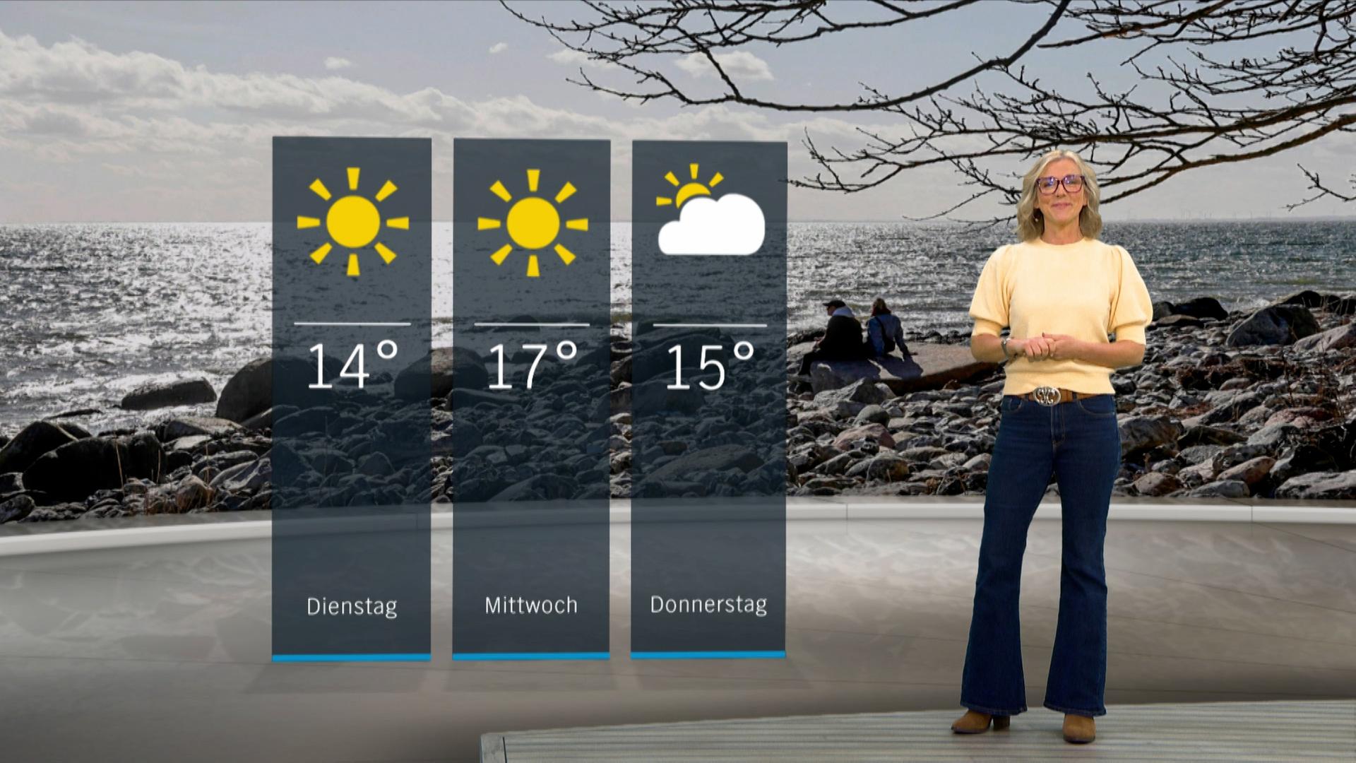 NDR Schleswig-Holstein Moderatorin Meike von der Goltz im Studio mit der Wettervorhersage. | NDR, NDR Screenshot