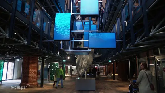 Einblick in das Meeresmuseum in Stralsund.