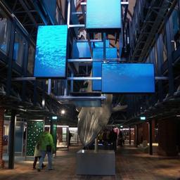 Einblick in das Meeresmuseum in Stralsund.