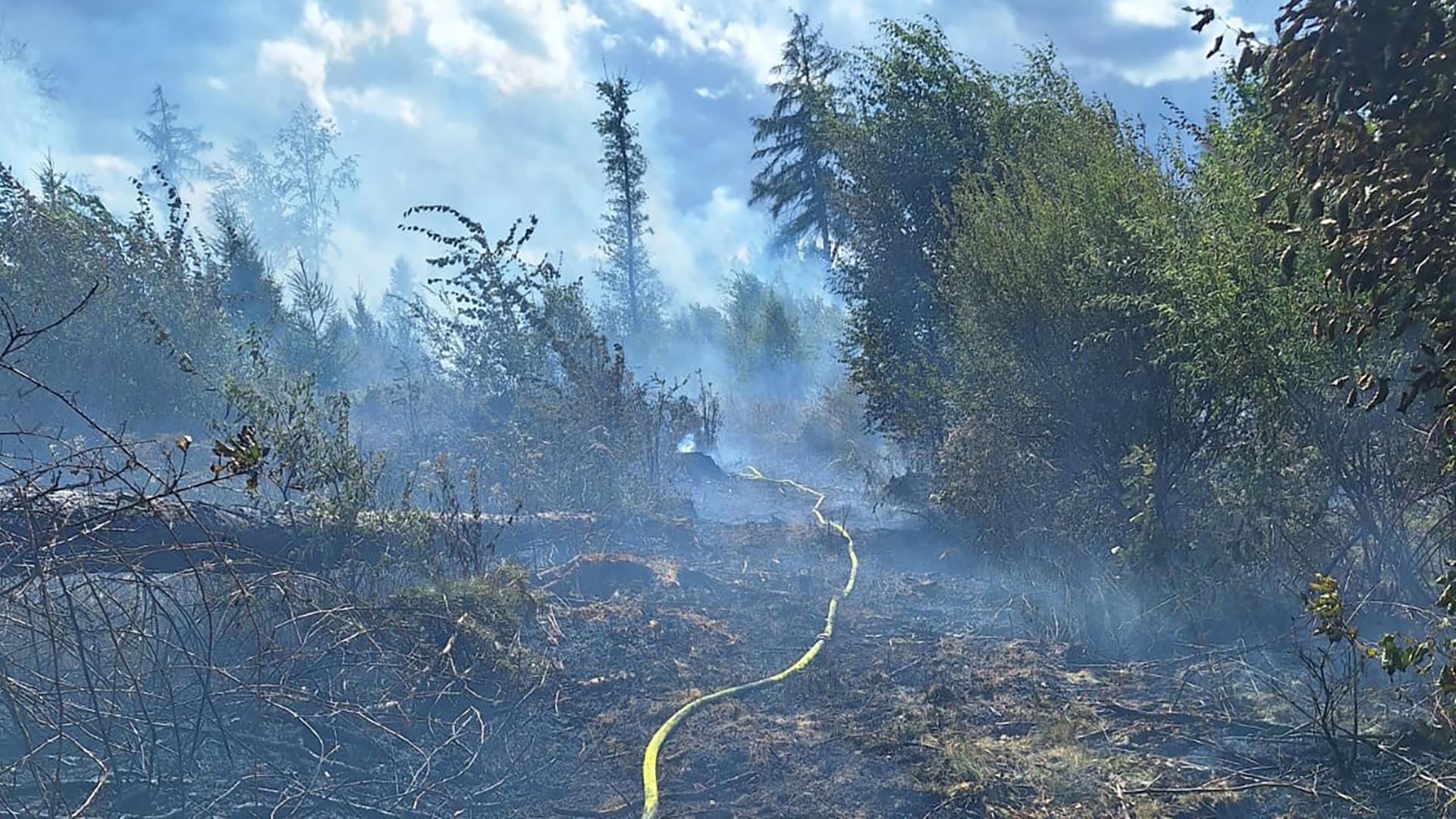 Schläuche der Feuerwehr liegen in einem verbrannten Waldstück nahe Hann. Münden | Stadt Hann. Münden