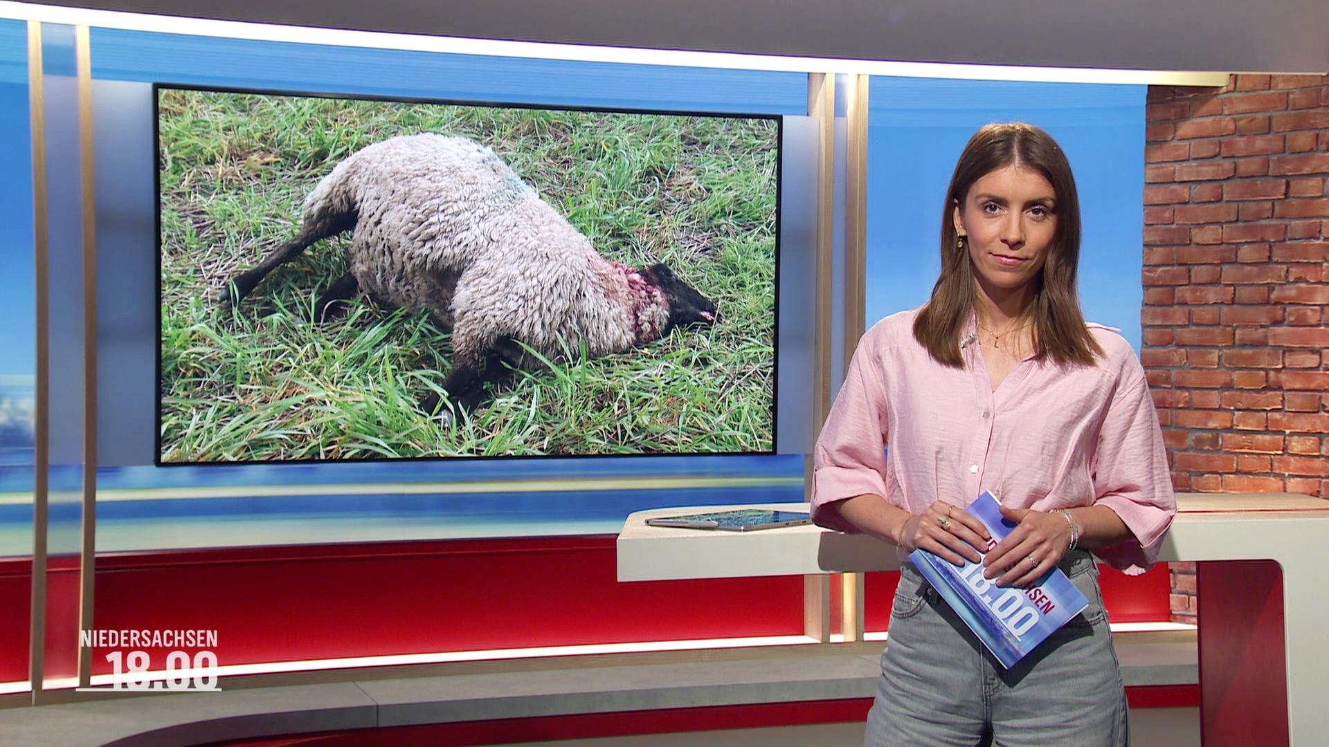 Lena Mosel. | Screenshot