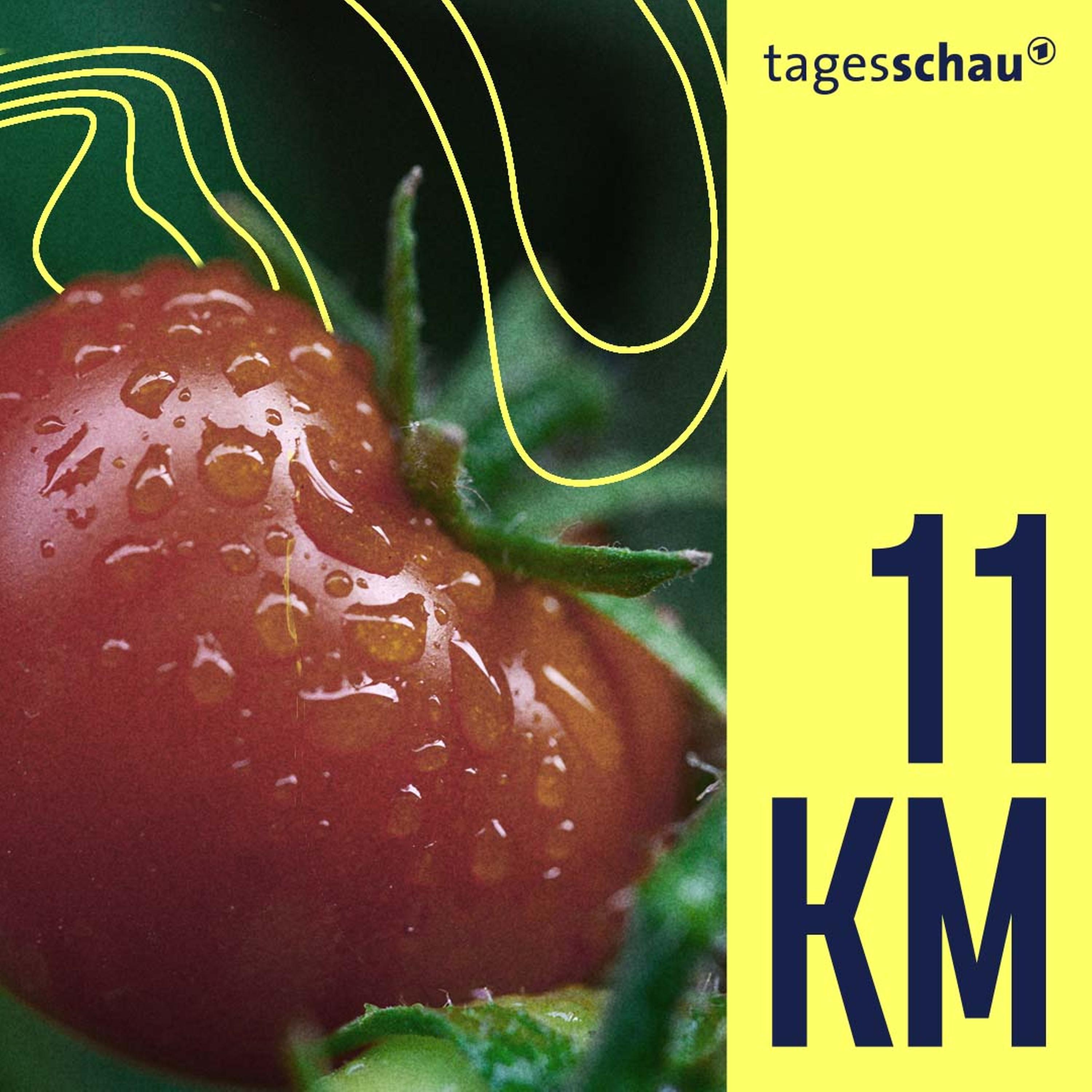 11KM: der tagesschau-Podcast