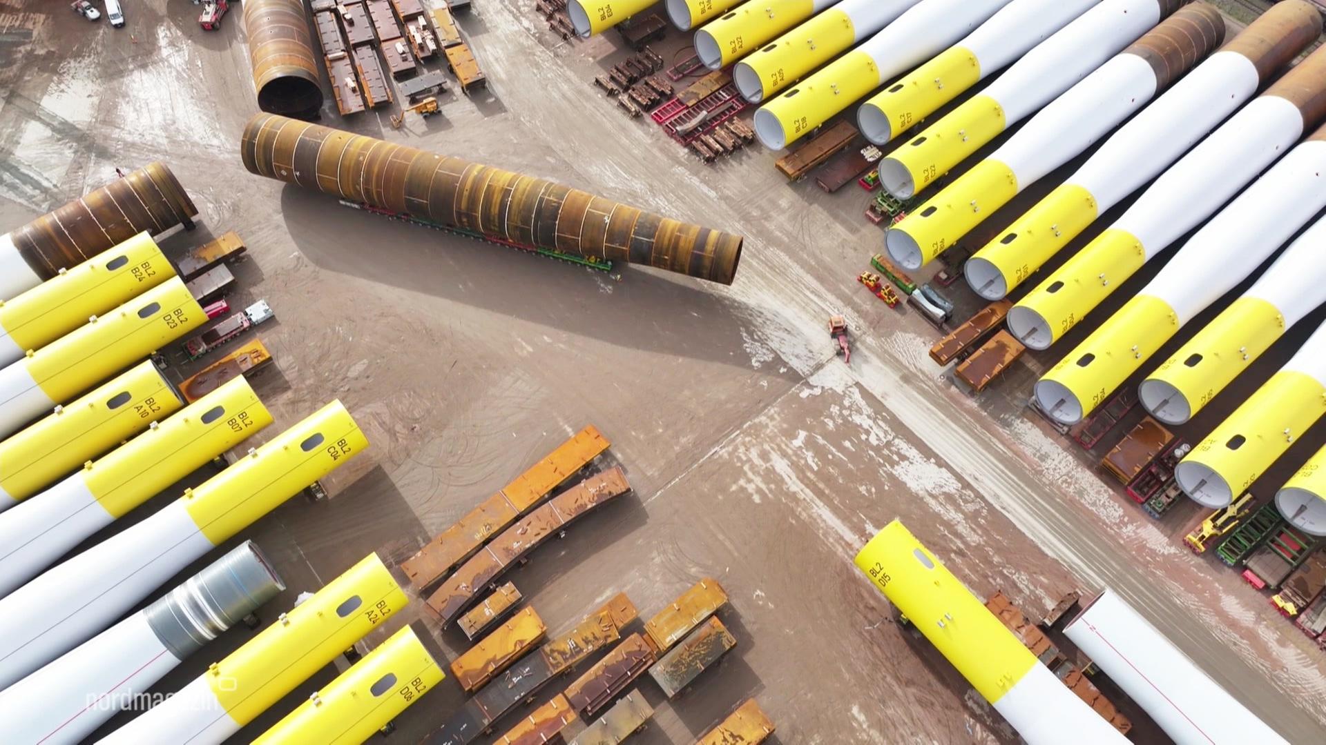 Rostock: EEW will Wald für Werkserweiterung