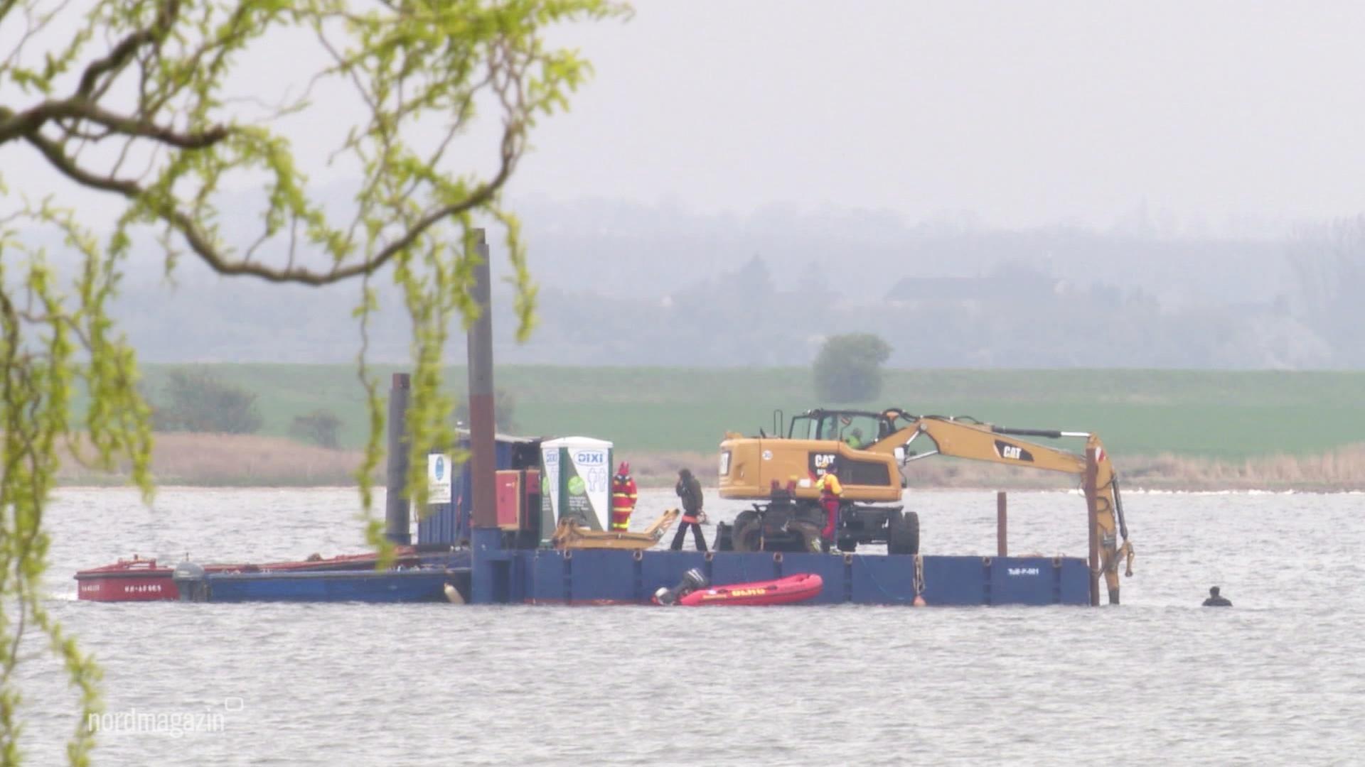 Wal-Rettungsaktion in der Ostsee. | Screenshot