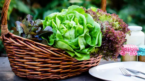 Ein Korb mit frischen Blattsalaten, daneben ein Teller.