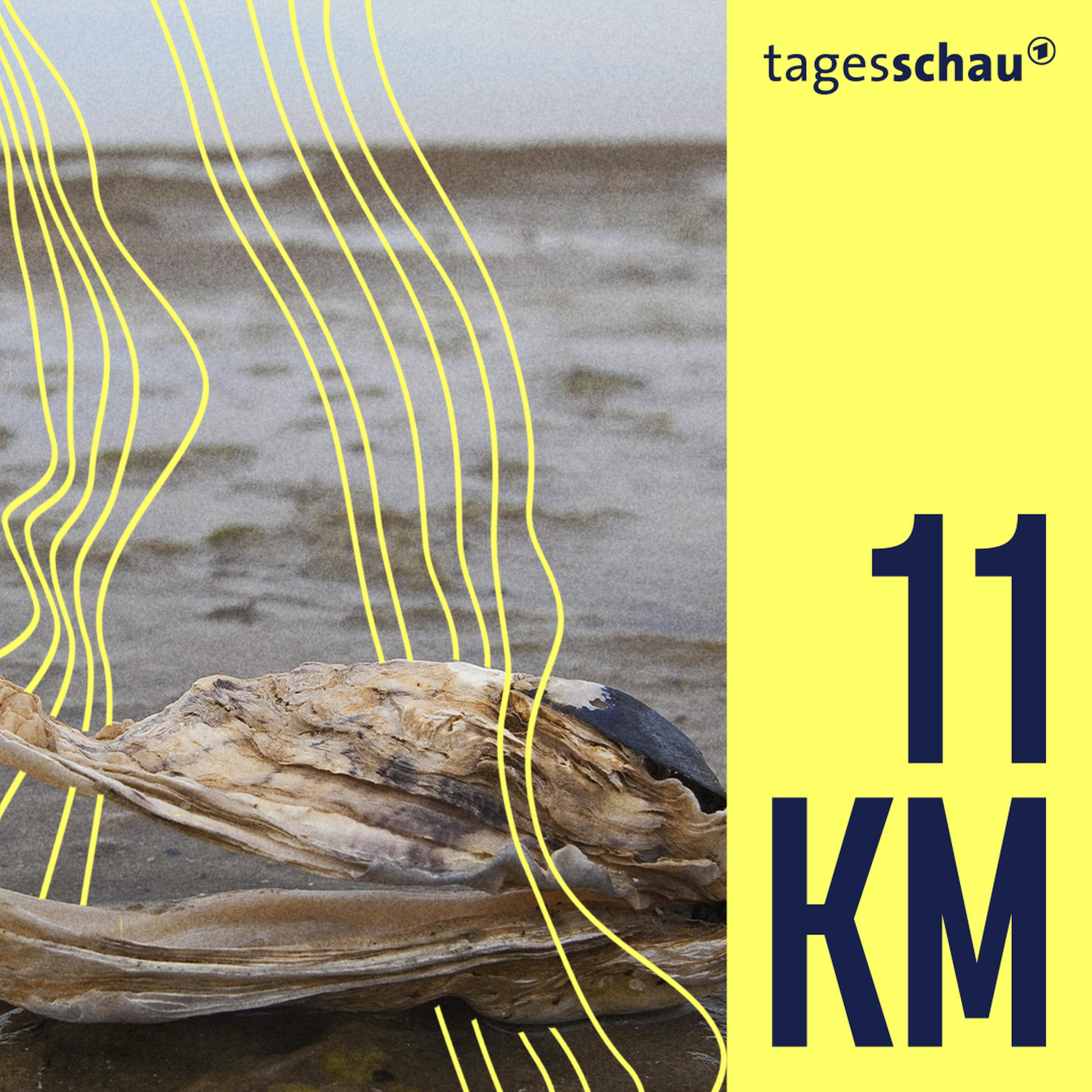 11KM: der tagesschau-Podcast