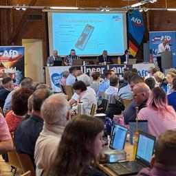 AfD Landesparteitag in Henstedt-Ulzburg.