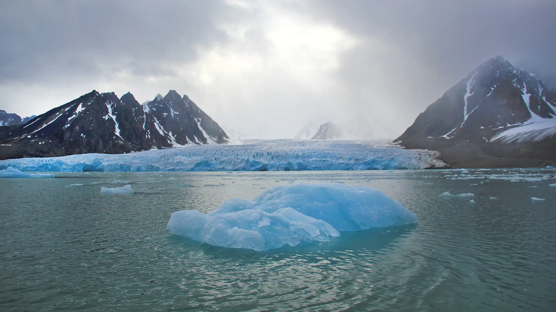 Spitzbergen - Leben am Limit der Arktis | ndr.de