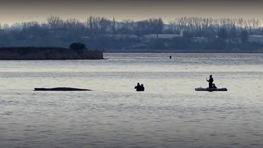 Dritter Tag des Rettungsversuchs