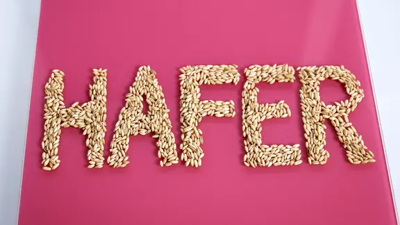 Das Wort "Hafer" ist aus Körnern gelegt auf einer pinkfarbenen Platte.