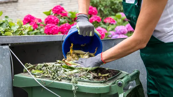 Eine Person entsorgt Biomüll in der Grünen Tonne.