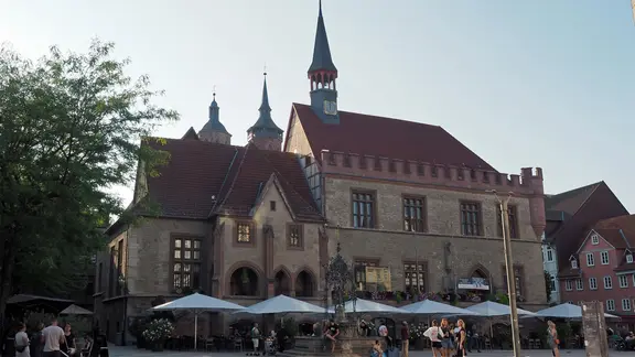 Schädling bekämpft: Altes Rathaus in Göttingen öffnet wieder | ndr.de