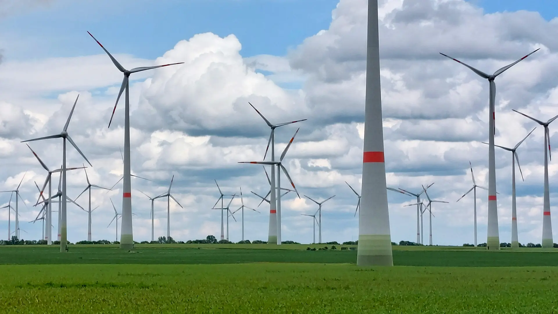 Bürger in MV sollen an Strom aus Wind und Sonne mitverdienen