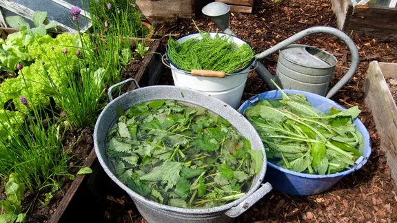 wie dünge ich gurken GreenPanda - 100% biologisch - Gurken und Zucchini Dünger