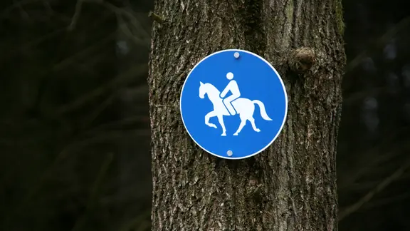 An einem Alleebaum prangt ein blau-weißes Schild für Reiter. (Themenbild) 
