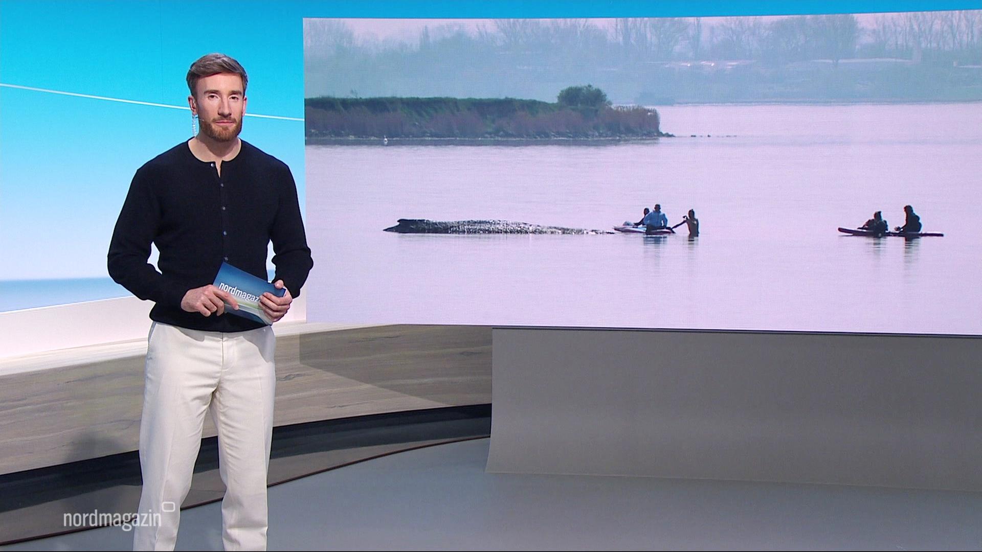 Stefan Leyh moderiert das Nordmagazin.  | Screenshot