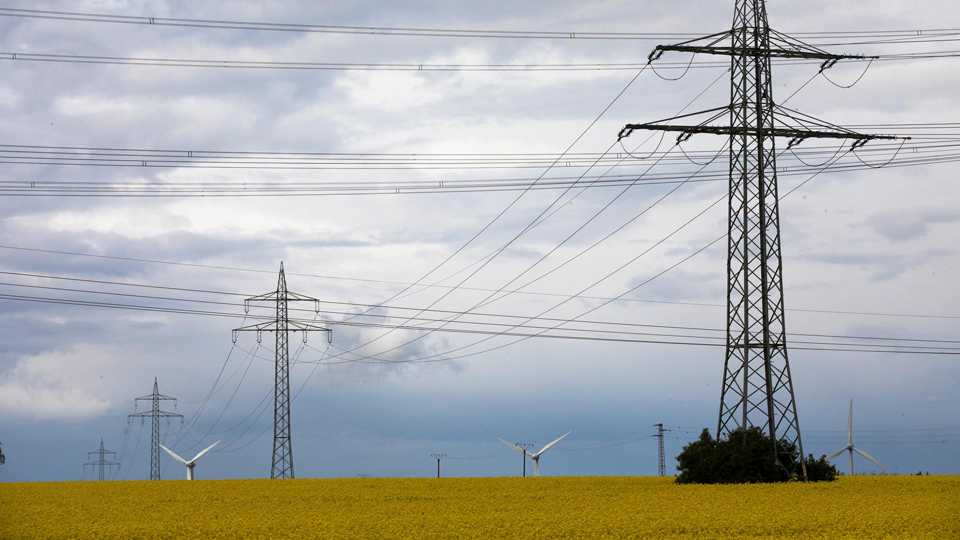 Friedrichskoog: SH-Netz tauscht Stromkabel aus