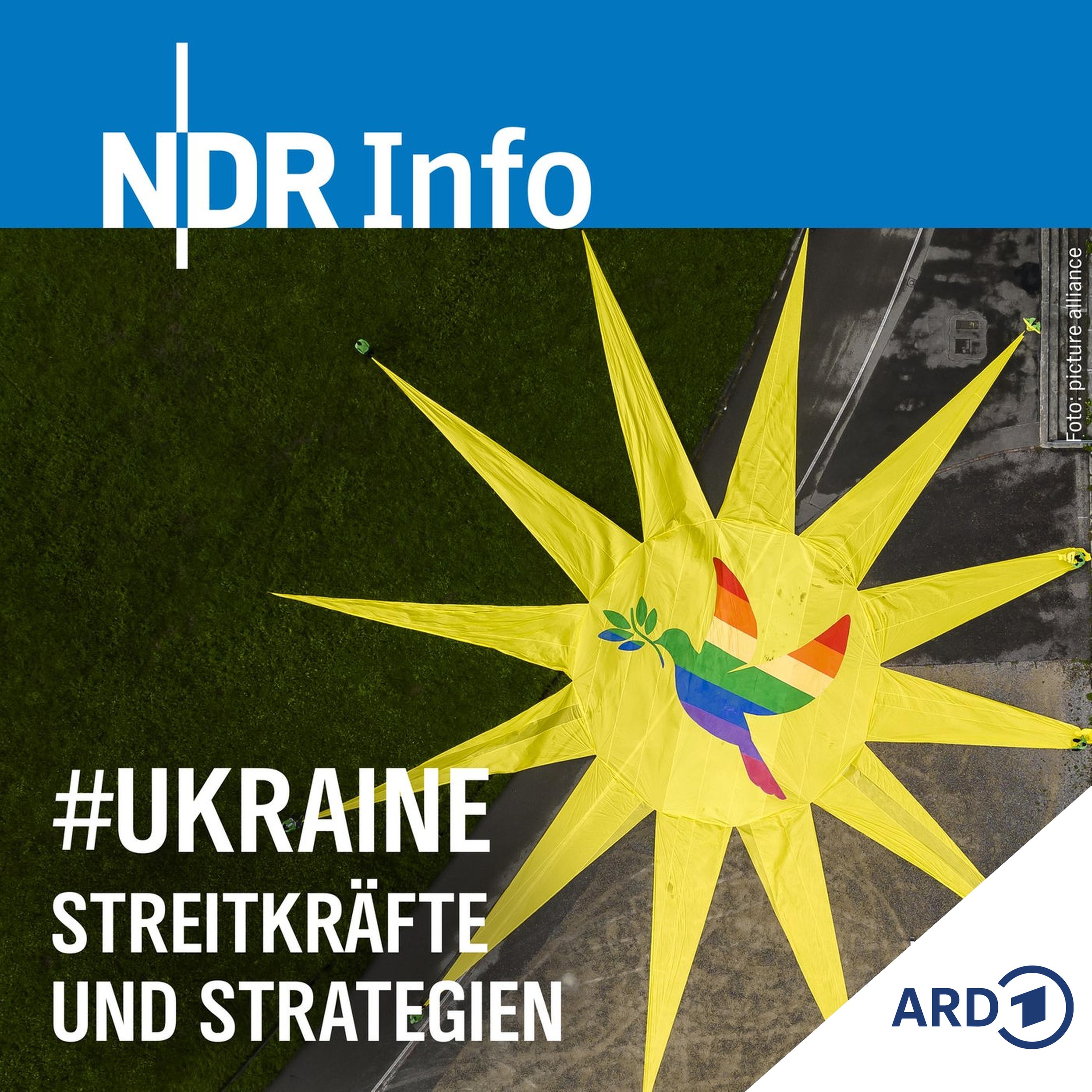 Krieg und Frieden (Tag 255-258)