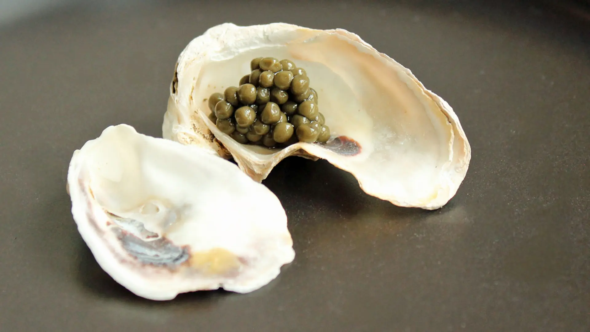 シナプス: 昆虫ケーキと実験魚?未来の食