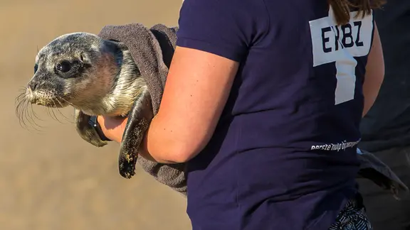 Eine Frau hält ein Siegel in ihren Armen.