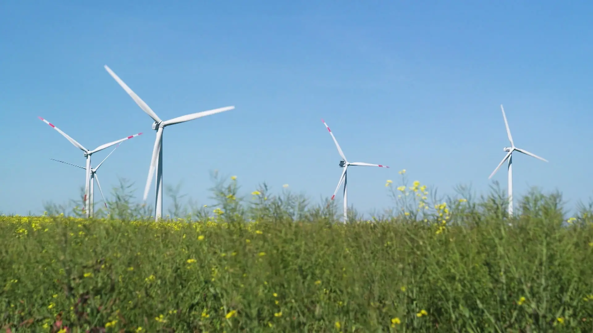 Wo Schleswig-Holstein in Zukunft Windräder plant