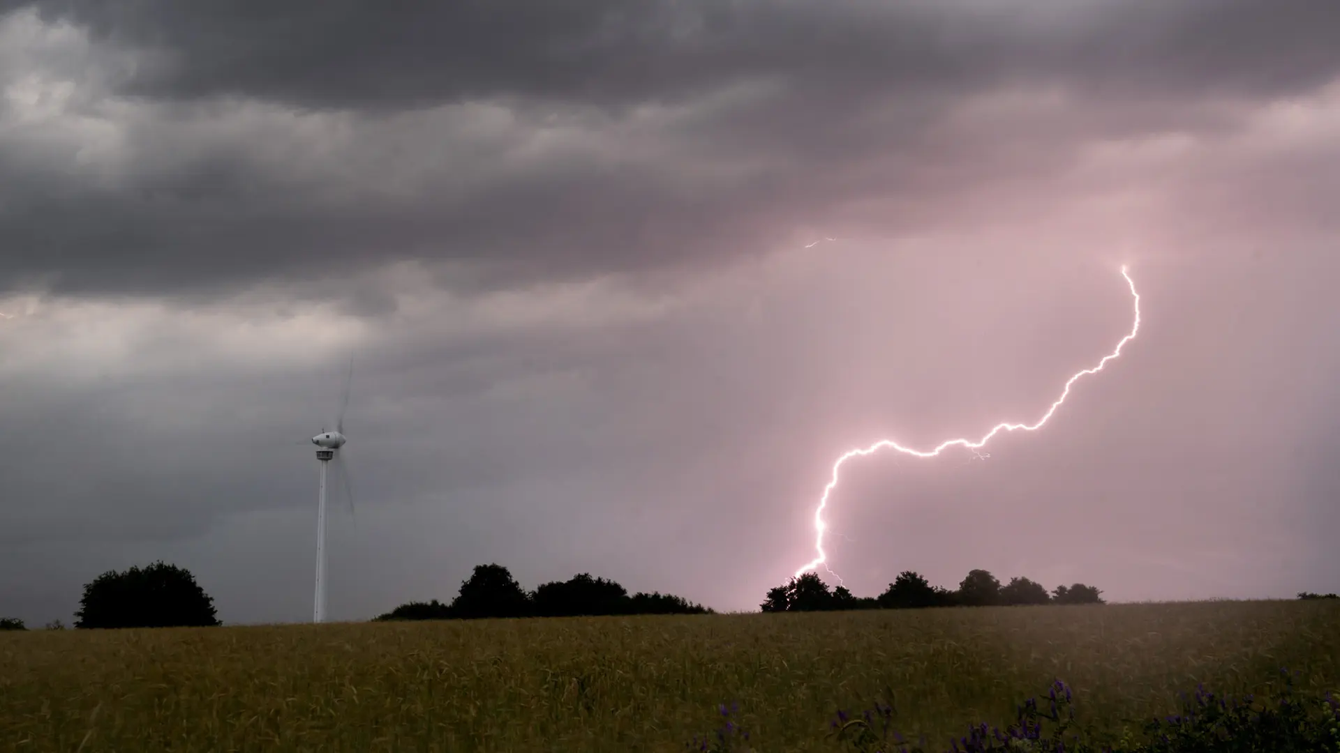 Blitzeinschläge 2025: Wo es im Norden besonders viele Blitze gab
