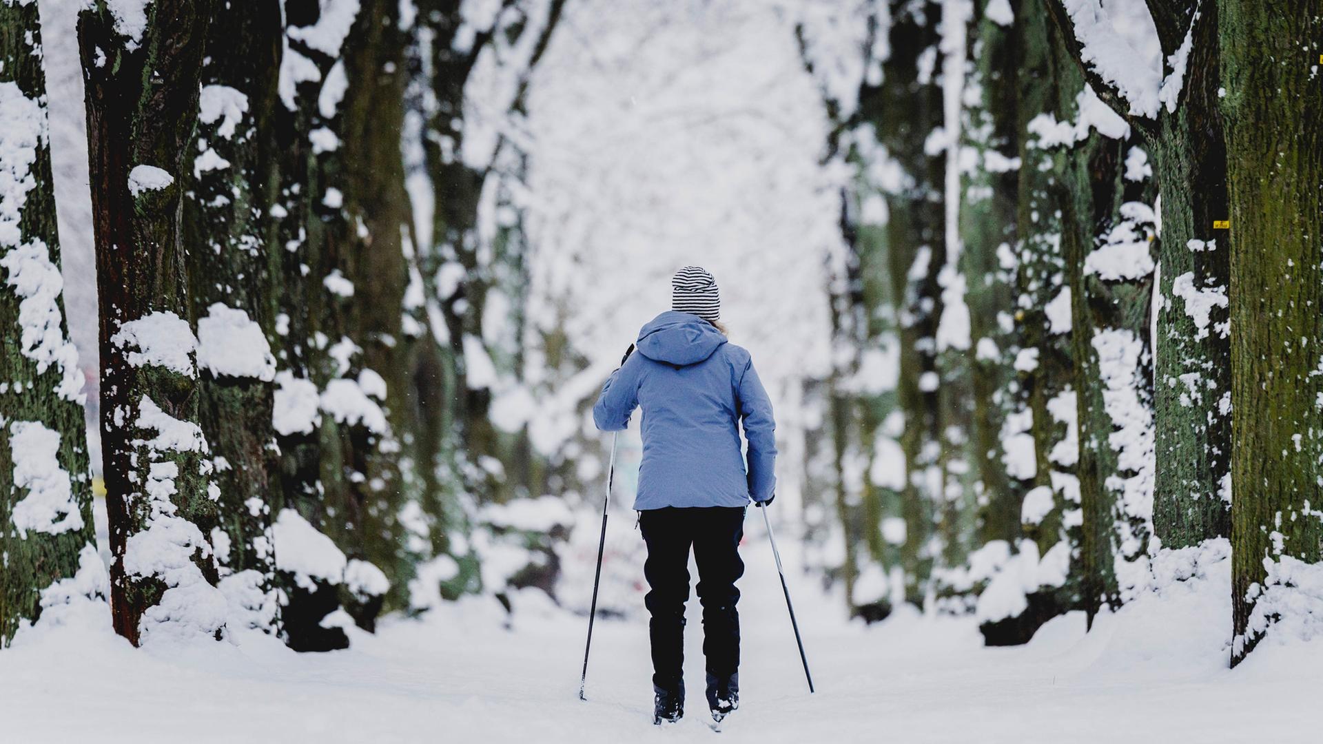 Schneesturm "Elli": Deutsche Bahn stellt Fernverkehr im Norden ein