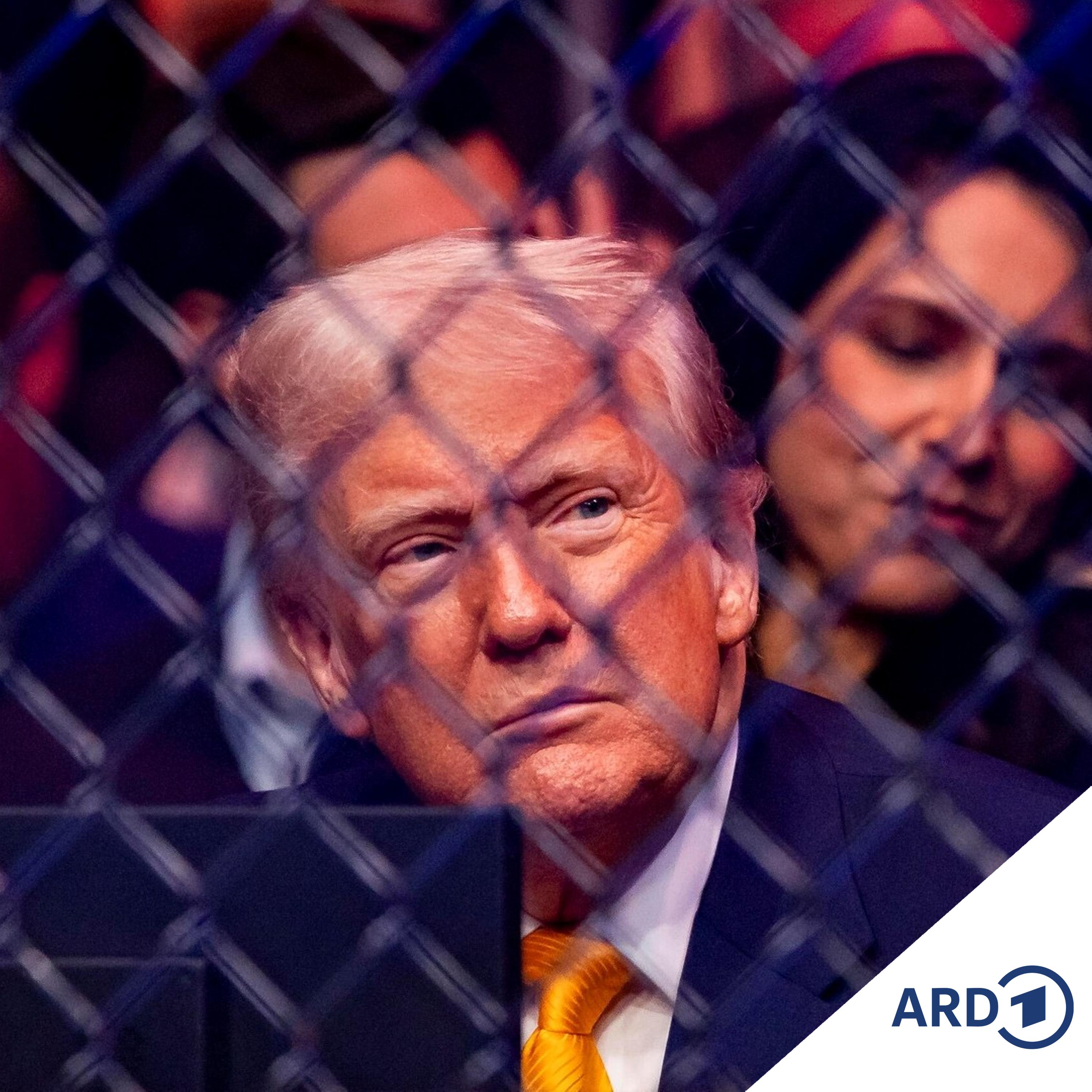 Play Die Käfigkämpfe des Donald Trump