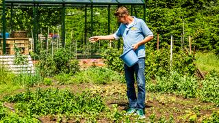 Organischer Dnger: Ideal im klimafreundlichen Garten